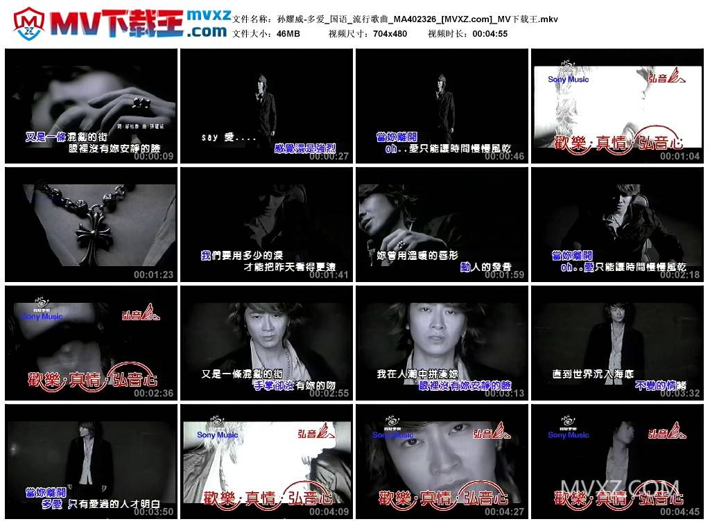 孙耀威-多爱_国语_流行歌曲_MA402326